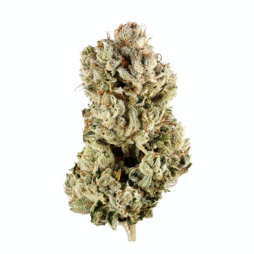 https s3 us west 2.amazonaws.com leafly images flower images gg 4